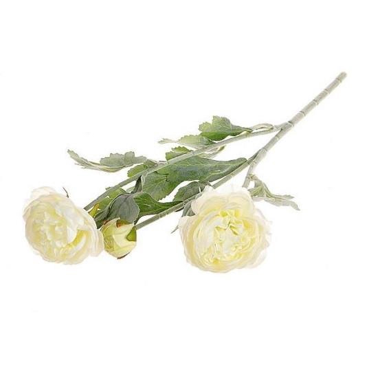 <h4>Ranunculus 50cm</h4>