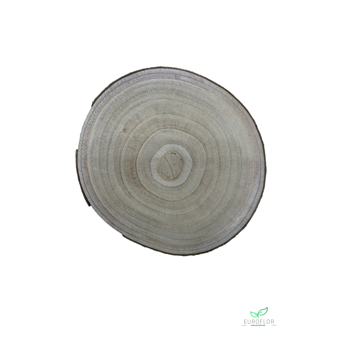 <h4>PAULOWNIA WOOD SLICE 25CM H2CM</h4>