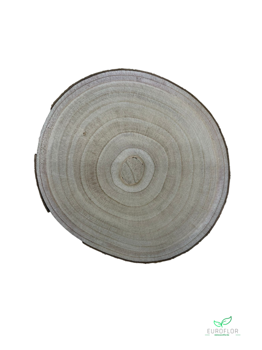 PAULOWNIA WOOD SLICE 25CM H2CM