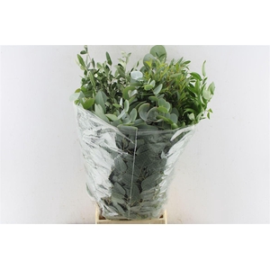 Green Mix