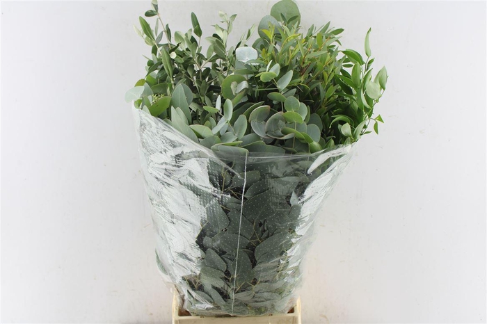<h4>Green Mix</h4>