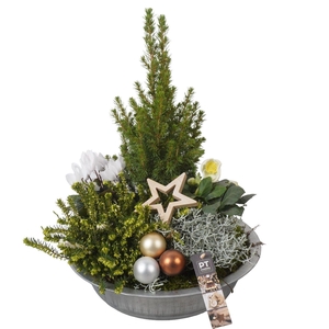 Arr.   Tuinplanten H%