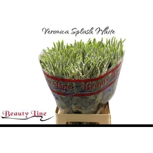 VERON L SKYLER WHITE