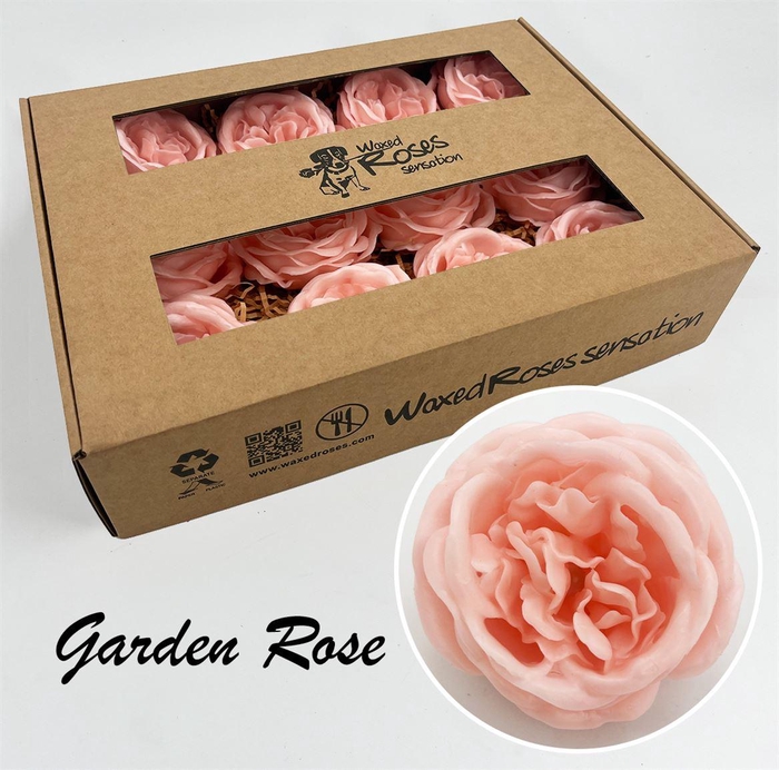 <h4>Zijde R Garden Wx Oceana</h4>