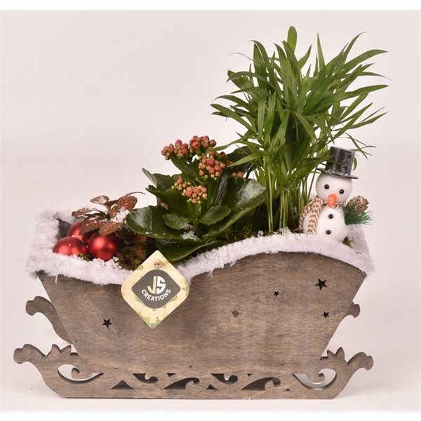 <h4>Arrangementen kamerplanten 6%</h4>