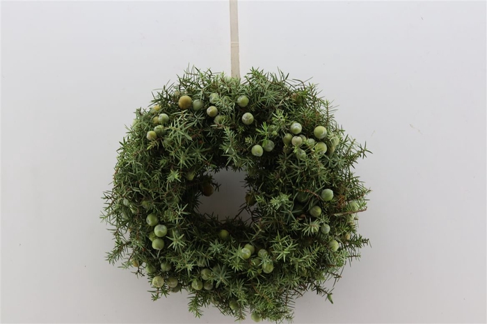 <h4>Wr Jeneverbes 30cm</h4>