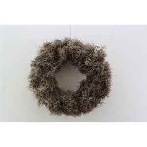 Wr Iron Grass 45cm