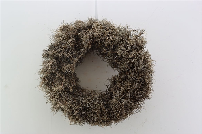 <h4>Wr Iron Grass 45cm</h4>