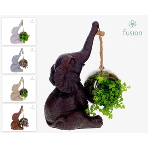 Dieren Olifant Large met Mix groenen planten in glas