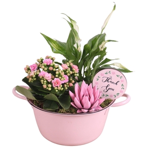 Mothersday Arr. Indoor Zinc Bowl With Handles Pink Ø22cm 3PP