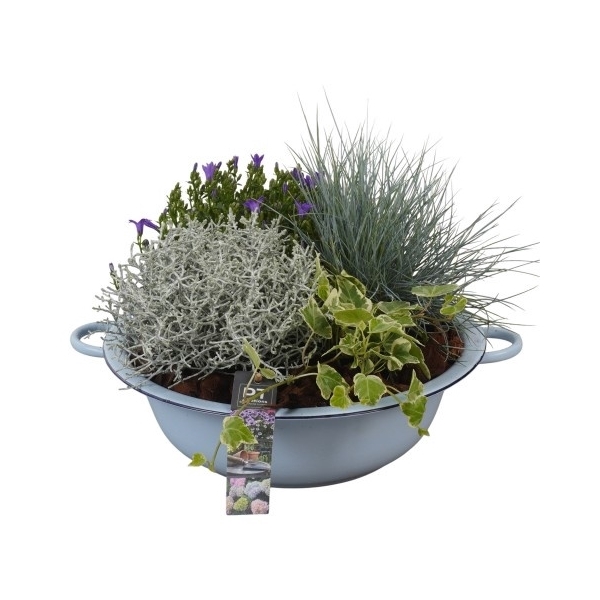<h4>PTSO8345 Arrangement Summer Outdoor in metalen schaal</h4>