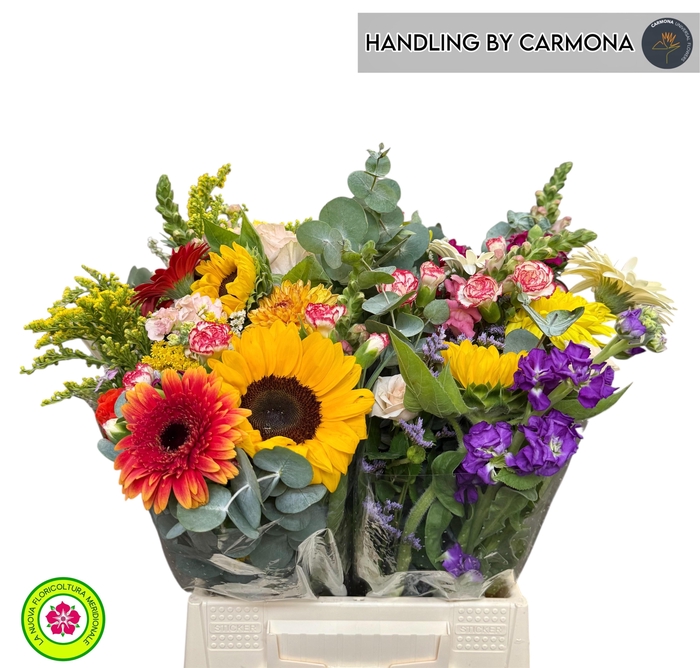 <h4>GEM BOEKET OV</h4>