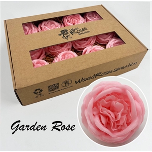 Zijde R Garden Wx Roze