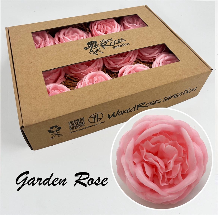 <h4>Zijde R Garden Wx Roze</h4>