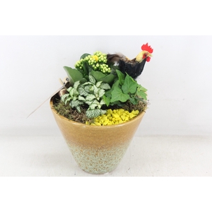 arr2 MB - Ker. vaas yellow x3