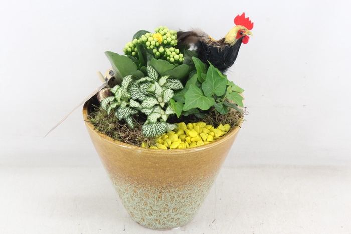 <h4>arr2 MB - Ker. vaas yellow x3</h4>