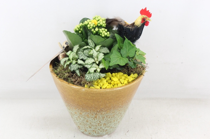 <h4>arr2 MB - Ker. vaas yellow x3</h4>