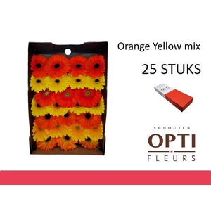 GE GR ORANGE YELLOW MIX-Doosx25