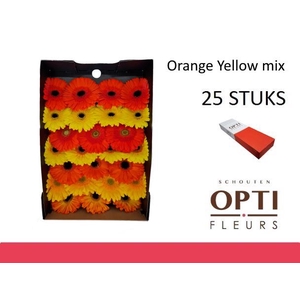 GE GR ORANGE YELLOW MIX-Doosx25