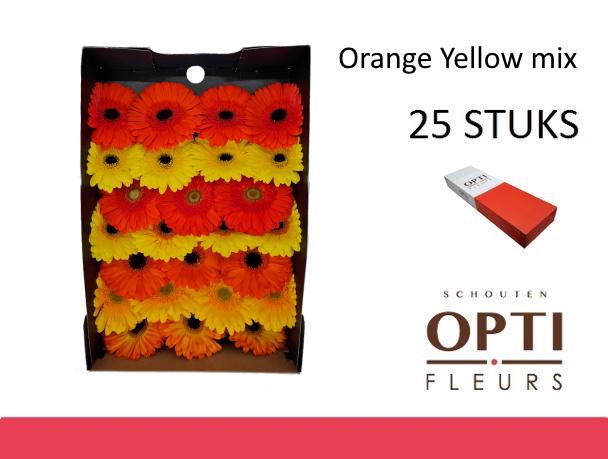 <h4>GE GR ORANGE YELLOW MIX-Doosx25</h4>