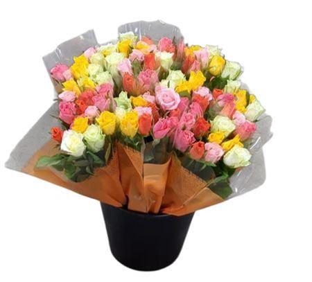 <h4>R Gr Rainbow Mix</h4>