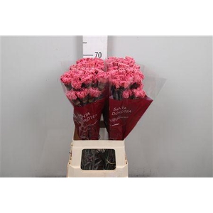 Di St Ov Kl B H% Lipstick