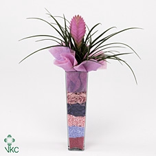 arr3 CP - Mini glas bol red white