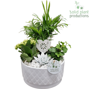 CE003 Loes White VM