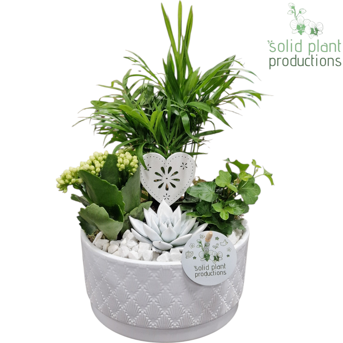 <h4>CE003 Loes White VM</h4>