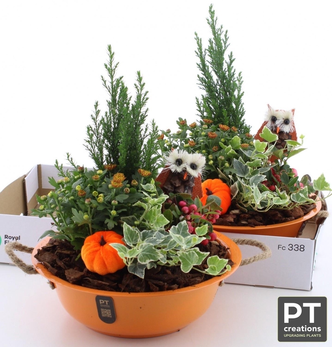 <h4>ARR TUINPLANTEN</h4>
