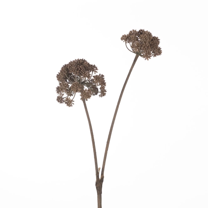 <h4>Af Angelica X2 L115cm Beige</h4>