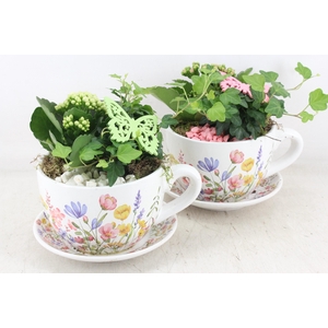 arr2 MB - Ker. kop&schotel pink flower x2