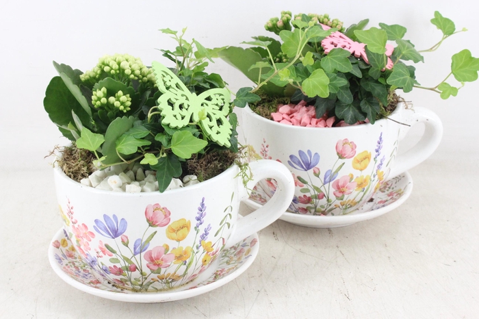 <h4>arr2 MB - Ker. kop&schotel pink flower x2</h4>