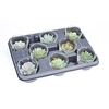 Succulenten overig glas PO6014