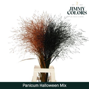 Siergras L90 Klbh. Halloween mix