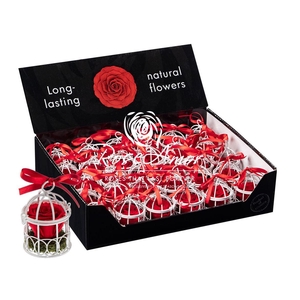 Display Bird Cage Red02