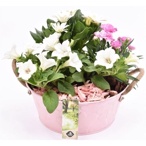 Zink schaal roze hart decor 20cm