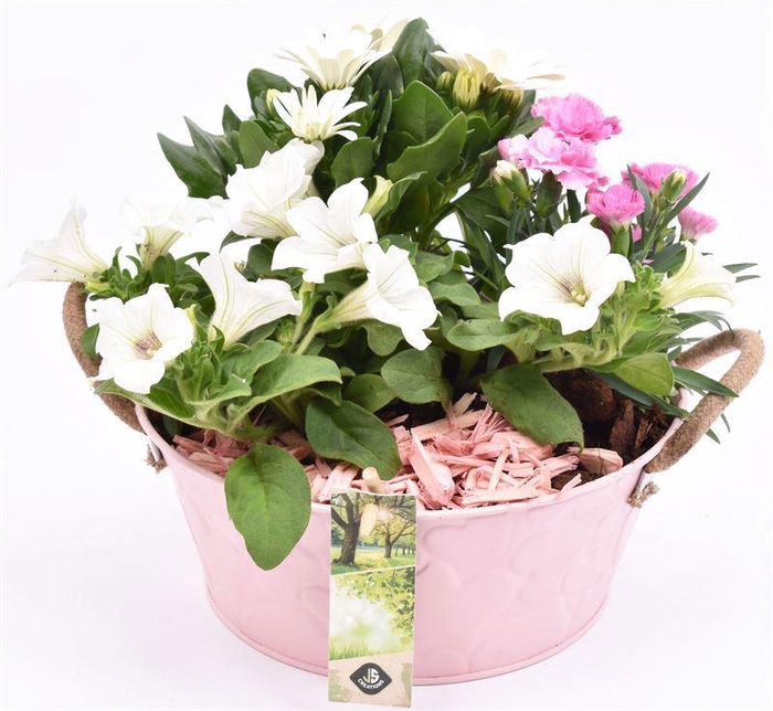 <h4>Zink schaal roze hart decor 20cm</h4>