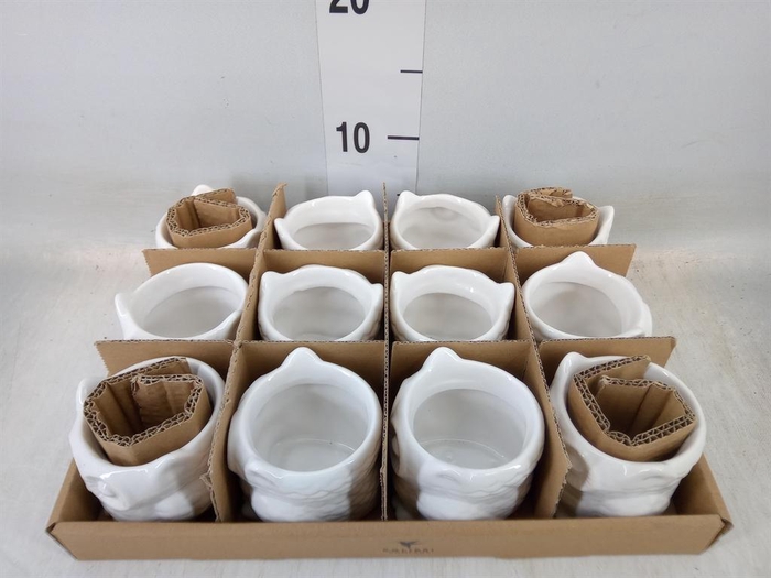 <h4>Pot   ...Keramische H%</h4>