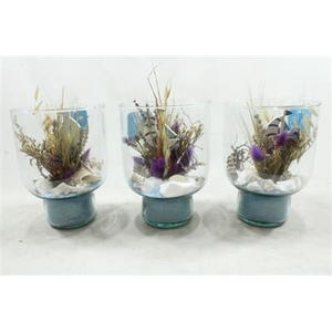 DRY GLAS + VOET