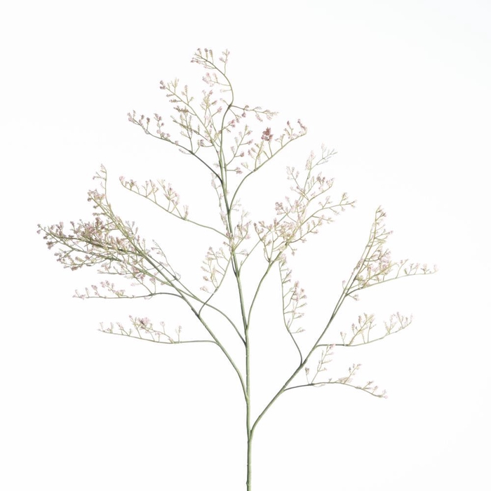 <h4>AF Limonium L82cm Pink</h4>