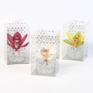 CYMB VERPAKT P BLOEM 22713