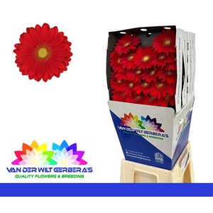 Germini Lipstick Diamond