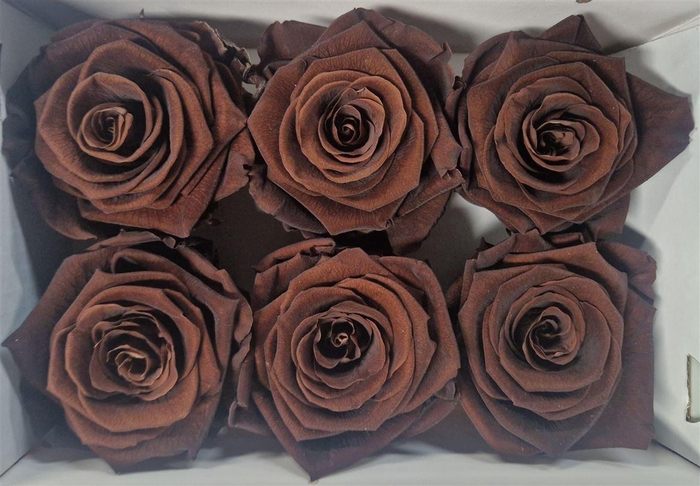 <h4>Ro Pres Classic Ebony</h4>