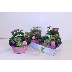 ARR TUINPLANTEN