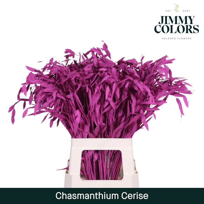 <h4>Chasmanthium L70 Cerise</h4>