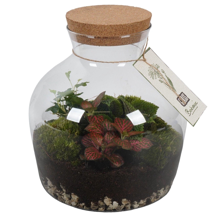 <h4>PTGIG2175 Arrangement Greens in glass in glazen terrarium</h4>