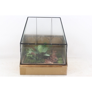 arr3 WR - Terrarium Wardian case two