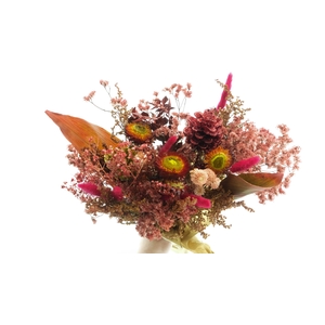 Dried Bouquet Christmass x10