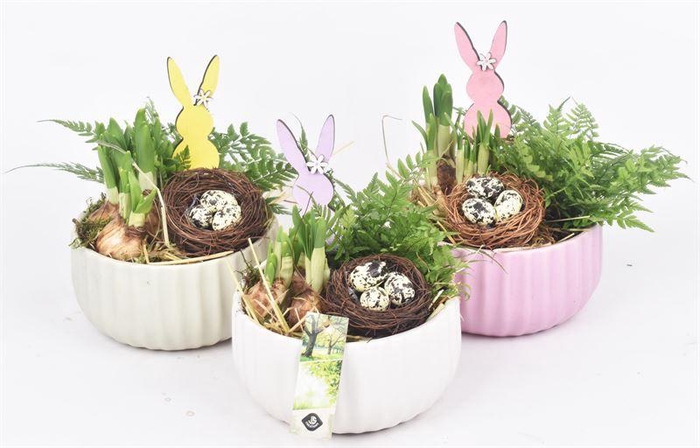 <h4>Keramiek schaal kleur mix 16,5cm</h4>